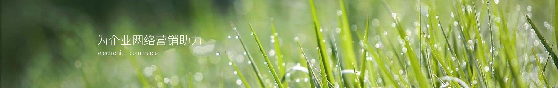 ܵƼ޹˾